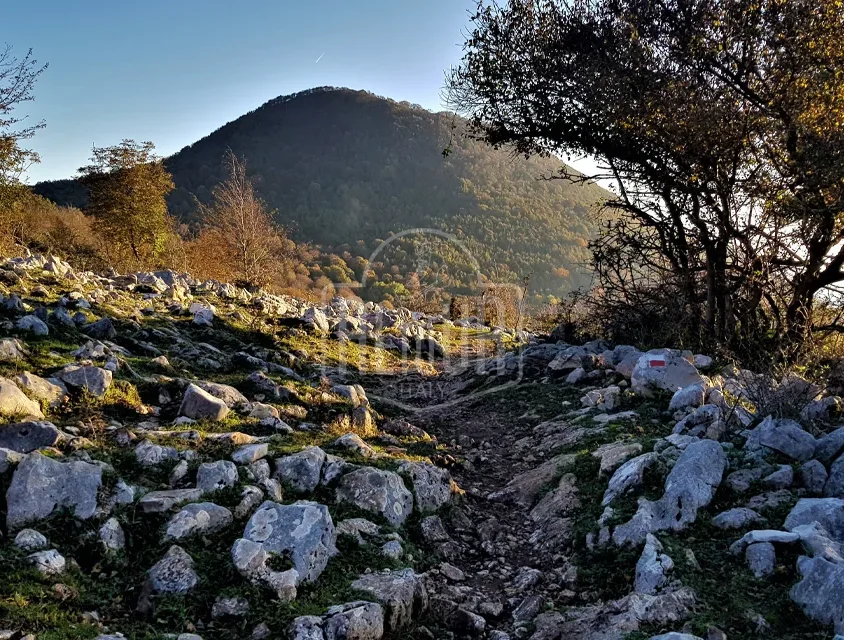 Parco Naturale Monti Lucretili