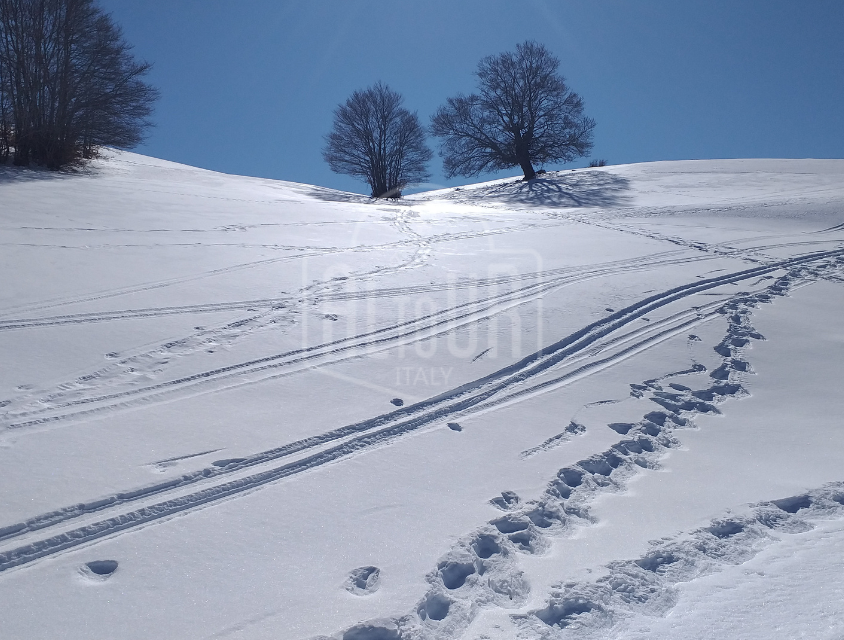 San Valentino sulla neve, Parco d’Abruzzo Lazio e Molise